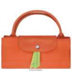 Men Carot Longchamp Le Pliage Green Travel bag Bags L06408798 - Image 5