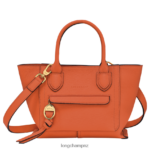 Women Carot Longchamp Mailbox Handbag Bags L06408166