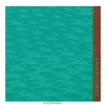 Women Turquoise Longchamp Spring/Summer 2023 Collection Stole Accessories L06408972 - Image 2