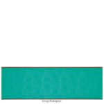 Women Turquoise Longchamp Spring/Summer 2023 Collection Stole Accessories L06408972